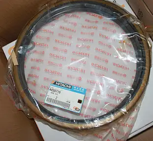 oil seal